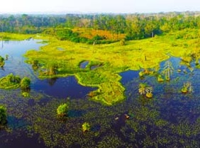 CAVALLY NURSERY LAKE.jpg